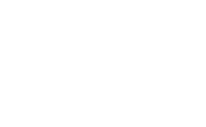 Southern Documentary Fund logo